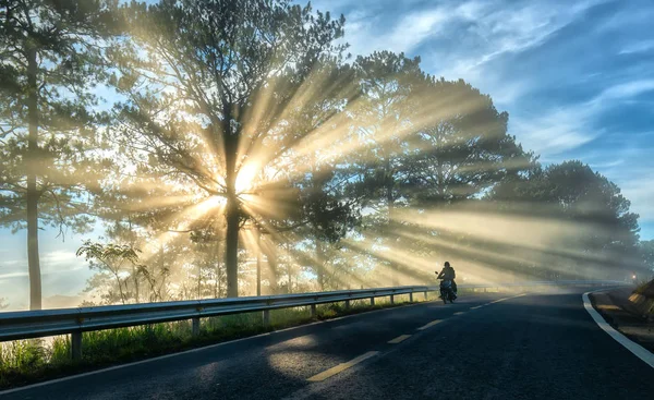 ダラット ベトナム 2018 バイク 霧の美しい道路を照らす太陽の光と松の森の道路で運転 これはベトナム ダラット高原の美しい道路です — ストック写真