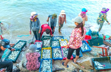 MUI Ne, Vietnam, 23 Nisan 2018: erken balıkçı köyü satın insanlar meşgul zaman Pazar balık, satış pazarlarına balık taşıma, tüm MUI Ne, Vienam kültürel ticaret pis beats bir atmosfer yaratmak