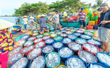 MUI Ne, Vietnam, 23 Nisan 2018: erken balıkçı köyü satın insanlar meşgul zaman Pazar balık, satış pazarlarına balık taşıma, tüm MUI Ne, Vienam kültürel ticaret pis beats bir atmosfer yaratmak