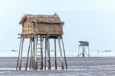 Bir lanet ile sahilde Balıkçılar deniz ürünleri istiridye sunmak için herkes için bir araç olarak dawn. Bu yolculukta güneşin doğuşunu görmek güzeldir