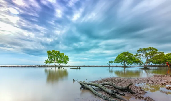 Ochtendgloren Het Strand Met Mangrovebomen Groeien Dijken Alleen Dit Zijn — Stockfoto