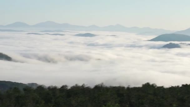 Amanecer Meseta Bosques Pinos Cubiertos Niebla Envuelta Tan Hermoso Paisaje — Vídeo de stock