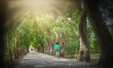Bir Giang, Vietnam - 12 Eylül 2018: Çocuk öğrenciler nerede eski ağaçlar bir Giang, Vietnam pastoral kırsal alanda yol kenarı sahne süslüyor Köyü yolu üzerinde bisiklete binmek