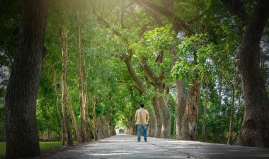 Bir Giang, Vietnam - 12 Eylül 2018: Bir insan Köyü kırsal bir Giang, Vietnam iki güzel eski ağaçları ile yolun sonuna doğru yürüyor.