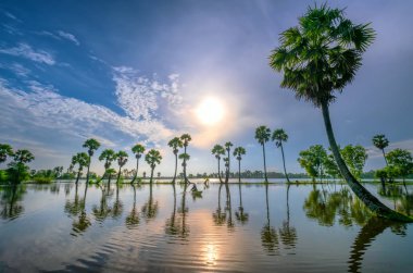 Bir Giang, Vietnam - 12 Eylül 2018: Tanımlanamayan balıkçılar gündoğumu her palmiye ağacı arkasında güzel bir Giang, Vietnam kırsal alanlarda ve güzellik süslüyor zaman bir gölde balık yakalamak için bir net yaymak
