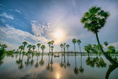 Bir Giang, Vietnam - 12 Eylül 2018: Tanımlanamayan balıkçılar gündoğumu her palmiye ağacı arkasında güzel bir Giang, Vietnam kırsal alanlarda ve güzellik süslüyor zaman bir gölde balık yakalamak için bir net yaymak