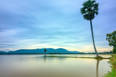 Yolu yalnız palmiye ağaç sular altında alanlar arasında kırsal Vietnam'da kayan sezon hala bir göl gibi
