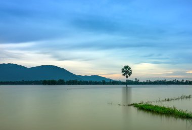 Yolu yalnız palmiye ağaç sular altında alanlar arasında kırsal Vietnam'da kayan sezon hala bir göl gibi