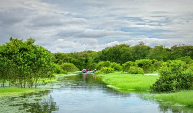 Bir Giang, Vietnam - 12 Eylül 2018: Kayıkçı gezgin bir tekne turu mangrov ormanın içinde kanalları boyunca alır. Bu bir eko turizm Mekong Delta bir Giang, Vietnam alandır