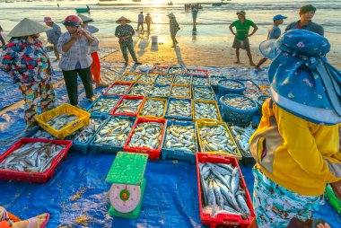 MUI Ne, Vietnam - 28 Eylül 2018: Sepet balık satış içinde balık pazarı oturum denizler sahne kişi toplandı yorucu kürek balıkçılar balık kıyıya balıkçı köyü MUI Ne, Vietnam getirdi