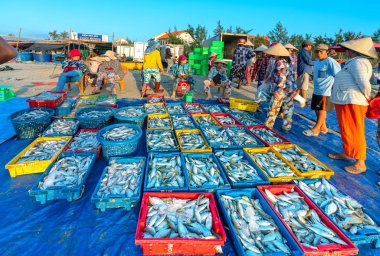 MUI Ne, Vietnam - 28 Eylül 2018: Sepet balık satış içinde balık pazarı oturum denizler sahne kişi toplandı yorucu kürek balıkçılar balık kıyıya balıkçı köyü MUI Ne, Vietnam getirdi
