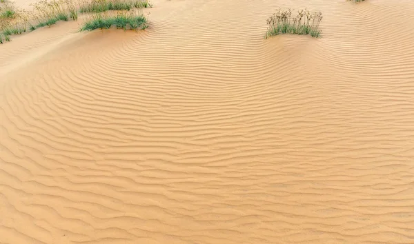 Pequenas Dunas Quando Vento Sopra Caminho Formando Belas Pregas Areia — Fotografia de Stock