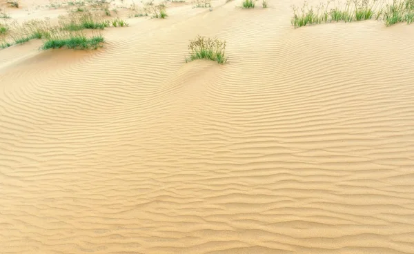 Small Dunes Wind Blows Path Forming Beautiful Pleats Desert Sand — Stock Photo, Image