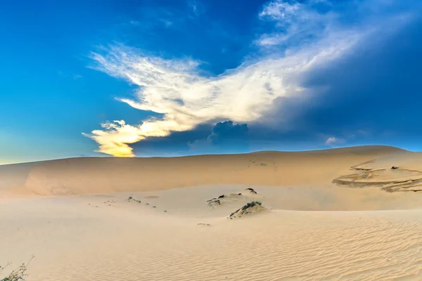 Solnedgången Kullen Sand Med Vitaliteten Gräs Buskarna Sträcker För Att — Stockfoto