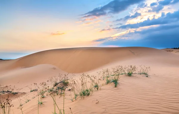 Solnedgången Kullen Sand Med Vitaliteten Gräs Buskarna Sträcker För Att — Stockfoto