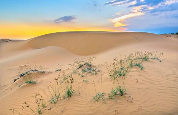 Solnedgången Kullen Sand Med Vitaliteten Gräs Buskarna Sträcker För Att — Stockfoto