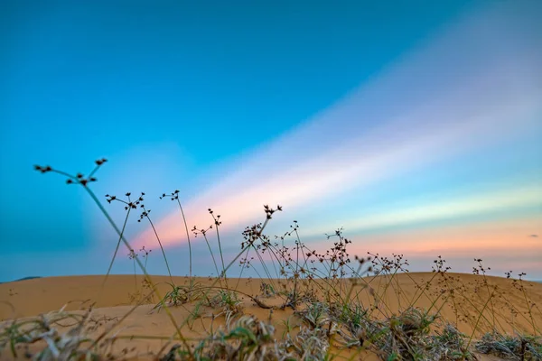 Solnedgång Kullen Sanddyner Med Rosa Strålar Himlen Mystisk Och Intressant — Stockfoto