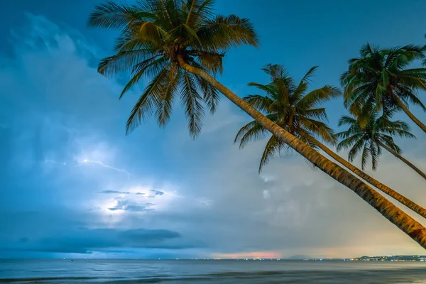 코코넛 쪽으로 기울고 극적인 구름을 볼트의 수평선은 장면에 흥미로운 — 스톡 사진