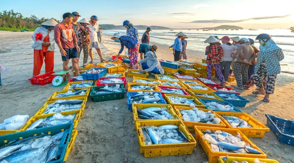 Mui Ne: A Foodie’s Fantasy – Top Must-Try Dishes & Best Dining Spots