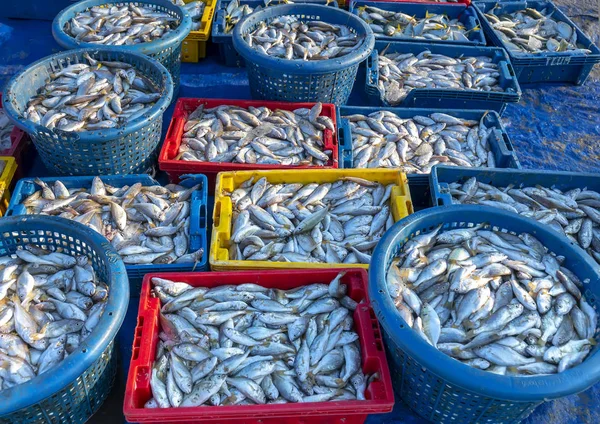 新鲜的白鱼后 在市场上捕鱼 这种鱼类生活在越南中部和东南部的水域 — 图库照片