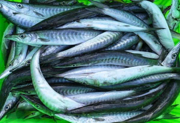 Barracuda Świeże Ryby Rynkach Ryb Gatunek Ten Zazwyczaj Mieszka Morze — Zdjęcie stockowe