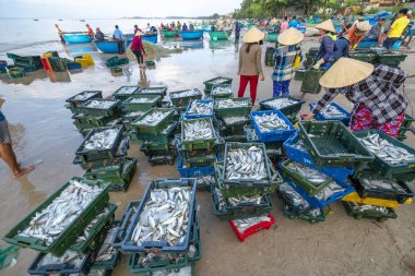 Phan Thiet, Vietnam - 30 Eylül 2018: Sepet balık satış içinde balık pazarı oturum denizler sahne kişi toplandı yorucu kürek balıkçılar balık kıyıya balıkçı köyü Phan Thiet, Vietnam getirdi