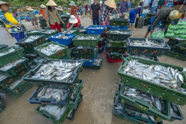 Phan Thiet, Vietnam - 30 Eylül 2018: Sepet balık satış içinde balık pazarı oturum denizler sahne kişi toplandı yorucu kürek balıkçılar balık kıyıya balıkçı köyü Phan Thiet, Vietnam getirdi