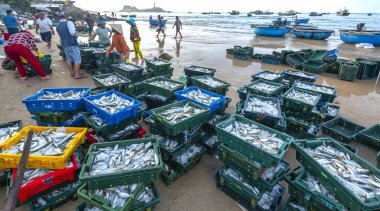 Phan Thiet, Vietnam - 30 Eylül 2018: Sepet balık satış içinde balık pazarı oturum denizler sahne kişi toplandı yorucu kürek balıkçılar balık kıyıya balıkçı köyü Phan Thiet, Vietnam getirdi