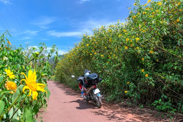 Lat Vietnam Október 2018 Motorkerékpár Kaland Poggyász Tárolására Szolgáló Raktárhelyeket — Stock Fotó