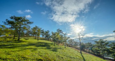 Güneşin altında yeni gün huzur içinde hoş geldiniz için tepeden çam ormanı için uyandığımda plato üzerinde gündoğumu.