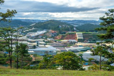 Güzellik Da lat yayla evleri çiçekler sera, defa hill ile güzel çam ormanları ve pastoral dağlık olarak dikim sebze bahçeleri ile serpiştirilmiş