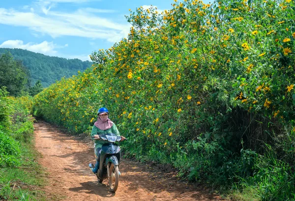Lat Vietnã Outubro 2018 Agricultores Estão Dirigindo Moto Caminho Campo — Fotografia de Stock
