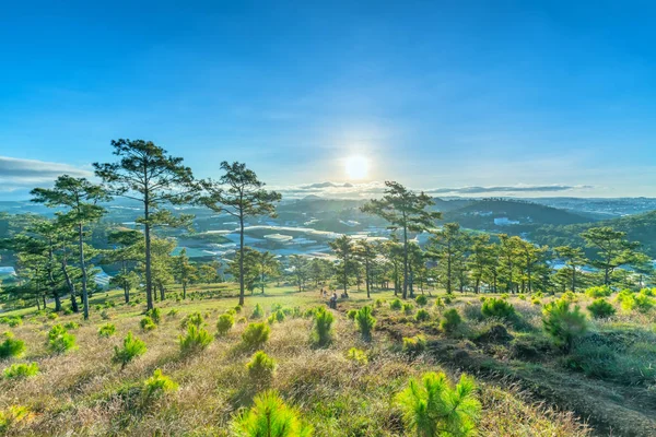 平和で新しい一日を歓迎する丘の下の松の森に太陽が覚めたとき高原の日の出 — ストック写真