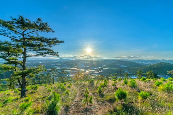 Salida Del Sol Meseta Cuando Sol Despertó Bosque Pinos Debajo — Foto de Stock