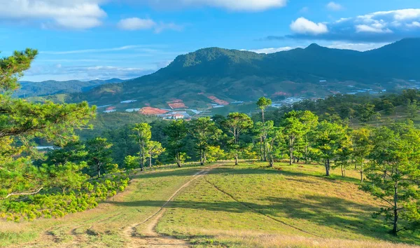 Stezka Vedoucí Borového Lesa Kopci Náhorní Plošině Lat Vietnam Krásné — Stock fotografie