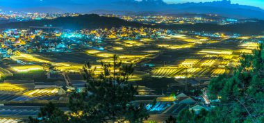 Çiçek ve sebze bitki seralar ile Da Lat bir vadiŞehir gece sahnesi. Güneş battığında mavi saat anları ışık vadi güzellikleri romantik yayla Vietnam süslüyor zamanı