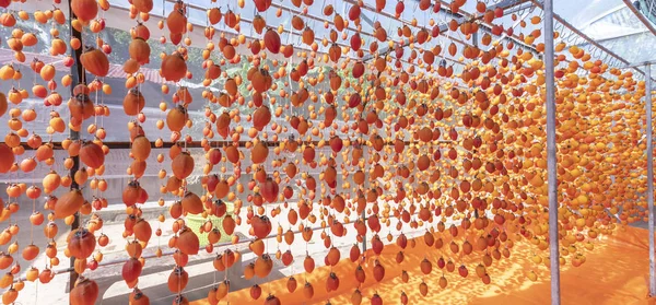 Suszone Persimmon Jest Suszony Według Tradycyjnej Technologii Japońskiej Stosowanej Lat — Zdjęcie stockowe