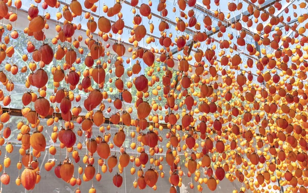 Dried Persimmon Dried According Traditional Japanese Technology Applied Lat Vietnam — Stock Photo, Image