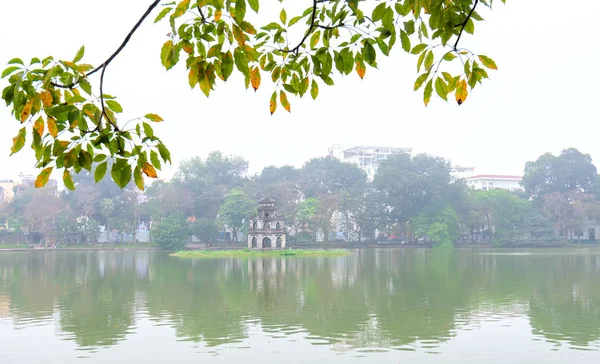 Árbol Brote Lago Hoan Kiem Capital Hanoi Vietnam Con Torre — Foto de Stock