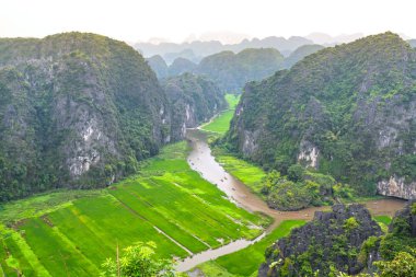 Tam Coc, Ninh Binh, Vietnam'da Ngo Dong nehri üzerinde pirinç tarlası görme görmek için turistik binmek tekne
