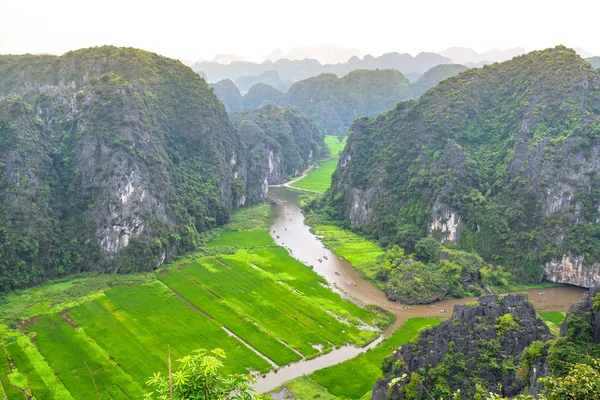 Tourist ride boat for sight seeing rice field on Ngo Dong river at Tam Coc, Ninh Binh, Vietnam