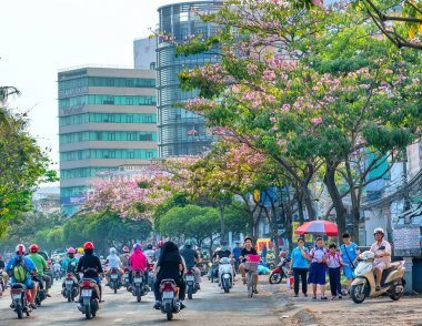 Ho Chi Minh şehir, Vietnam, Mart 15th, 2019: Tabebuia rosea çiçek yol boyunca dikilen ile bulvarı yoğun trafik şehir büyüyen kentsel peyzaj süslüyor Ho Chi Minh şehir, Vietnam