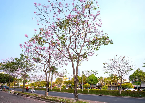 Ciudad Chi Minh Vietnam Marzo 2019 Tráfico Ocupado Bulevar Con — Foto de Stock