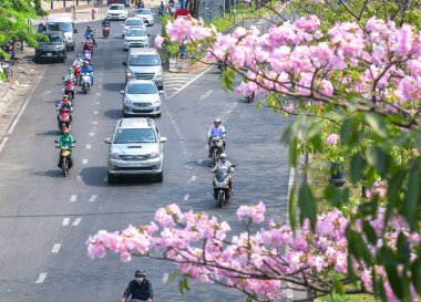 Ho Chi Minh şehir, Vietnam, Mart 16, 2019: Yüksek görüşten Saygon Trafik, motosiklet ile sokak, Ho Chi Minh City gelişmiş şehrin pembe tabebuia rosea çiçek ağacı altında araba hareket, Vietnam
