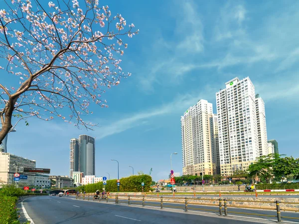 Хошимін Єтнам Березня 2019 Tabebuia Рожева Дерева Цвітіння Вирощується Вздовж — стокове фото