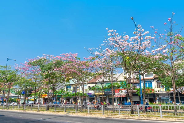 ホーチミン市 ベトナム 2019年3月16日 タベブアイアローザの木が咲く大通りに沿って成長し ベトナムのホーチミン市の自然とより密接に都市景観を飾ります — ストック写真