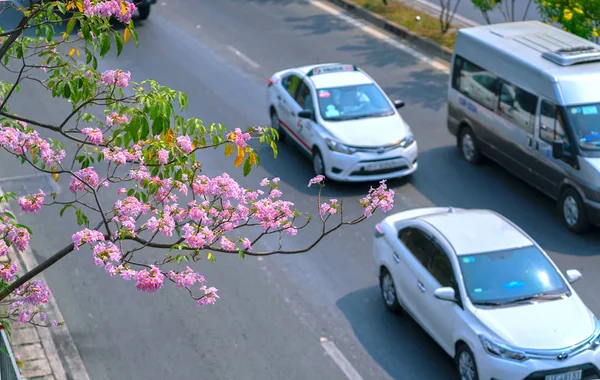 Minovo Město Vietnam Březen 2019 Provoz Saigonu Vozem Pod Růžovým — Stock fotografie