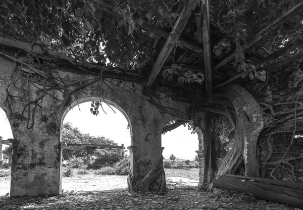 Templo Antigo Abandonado Com Uma Árvore Antiga Crescendo Parede Sobe — Fotografia de Stock