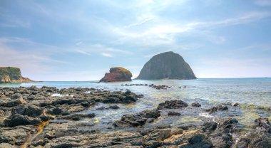 Kanarya Adası yakınındaki volkanik kaya veya Giant Causeway altında birçok güzel mercan resifi vardır
