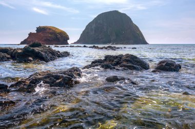 Kanarya Adası yakınındaki volkanik kaya veya Giant Causeway altında birçok güzel mercan resifi vardır